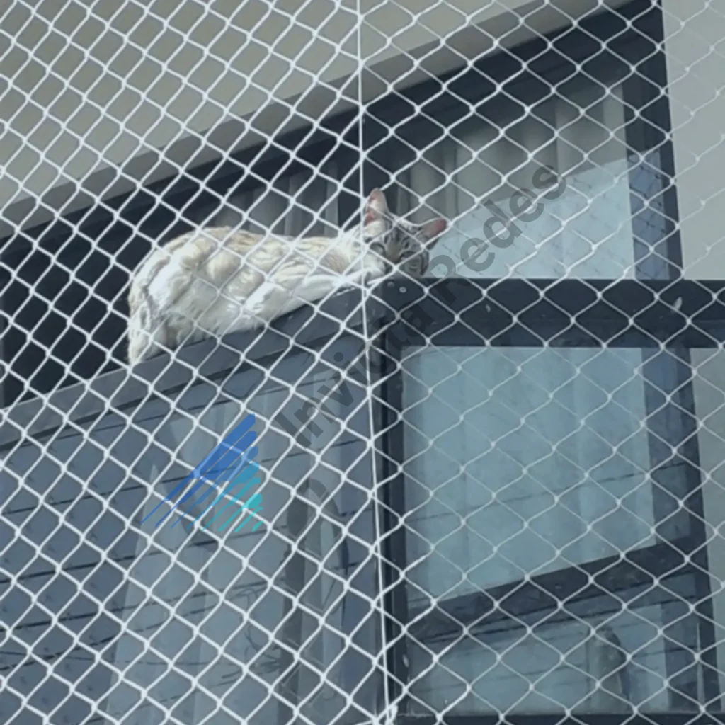 Redes de proteção Azul para Gato Sacada